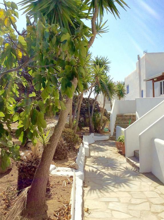 Manos Studios Platis Gialos Exterior foto